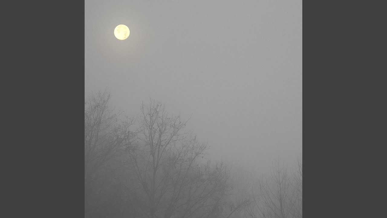 Foggy Morning