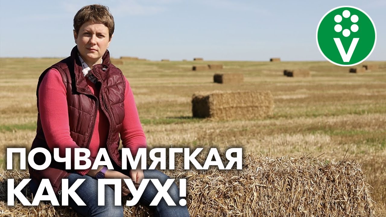 А ВЫ ЗНАЛИ? ОБЫЧНАЯ СОЛОМА ПРЕВРАТИТ ПОЧВУ В ИДЕАЛЬНУЮ!