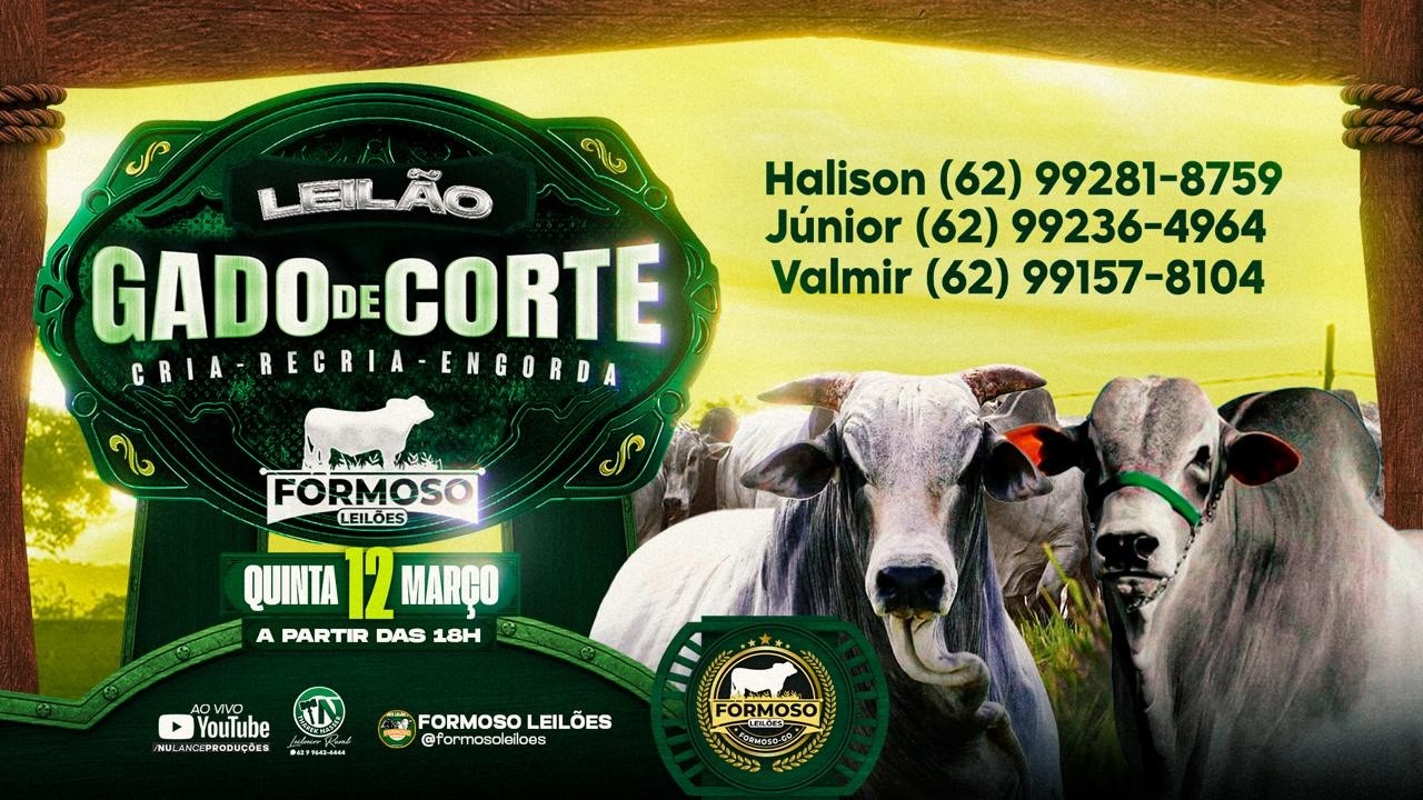 LEILÃO GADO DE CORTE FORMOSO LEILÕES - FORMOSO - GO - 12/03/2026