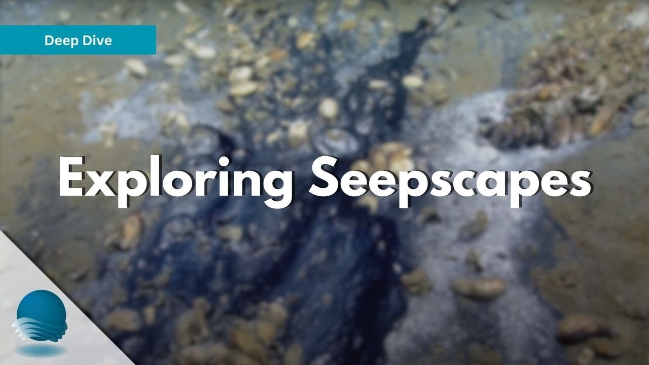 Deep Dive: Exploring Seepscapes