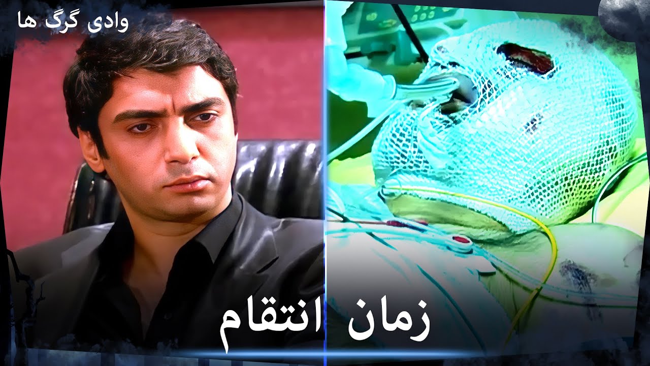 سریال وادی گرگ ها - پولات علمدار انتقام مماتی را می‌گیرد