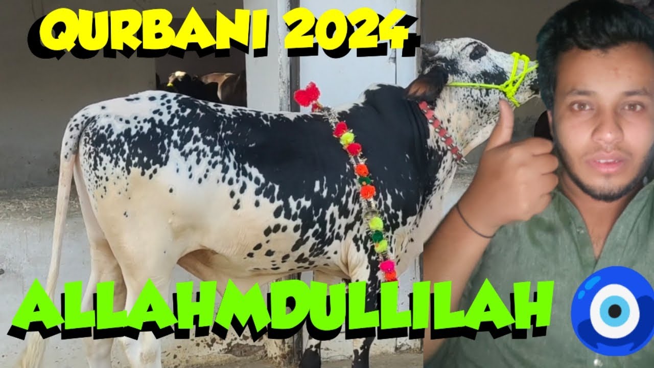ALLAHMDULLILAH QURBANI 2024 🧿💯 | BELL KO GHR LAY AY 😘MAZAYYYY.....