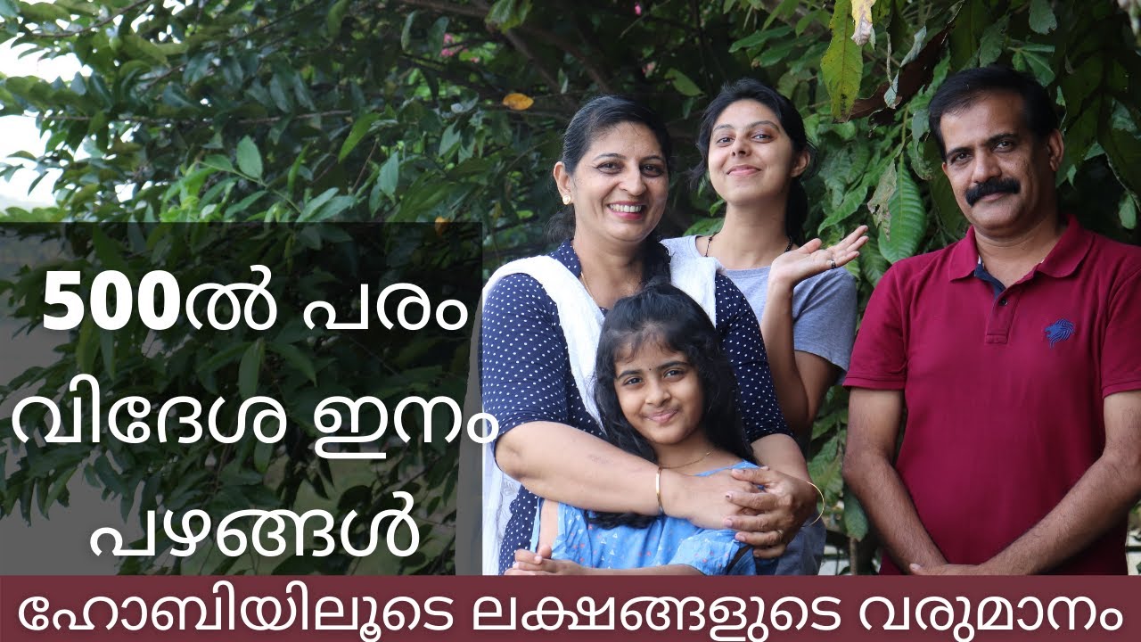 Araza boy,Matisia,Amazon tree grape,Black sapote,Achacharu/Rincy'skitchen&vlog