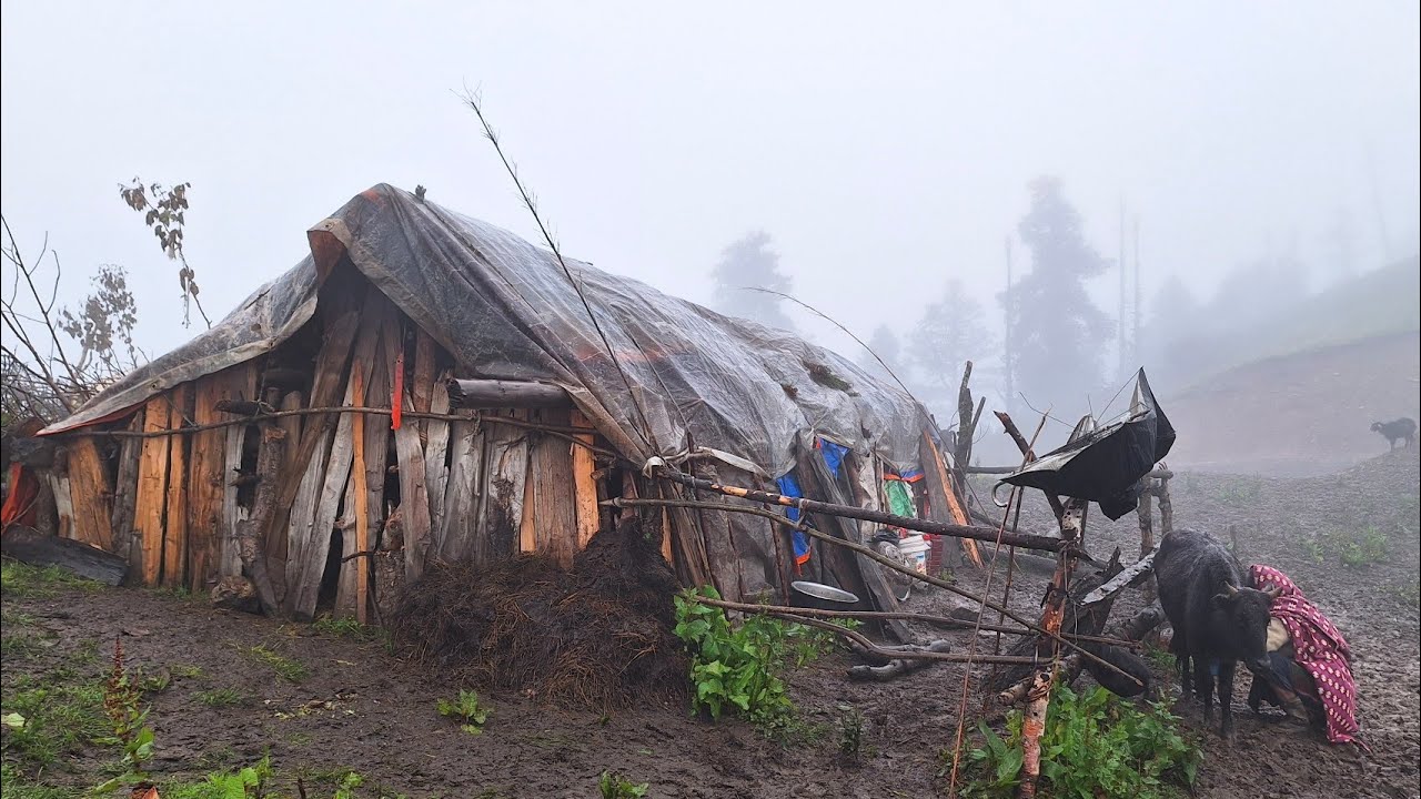 Very Relaxing Mountain Village Life into the Rain | Rainy Day In Mountain Village | Real Nepali Life