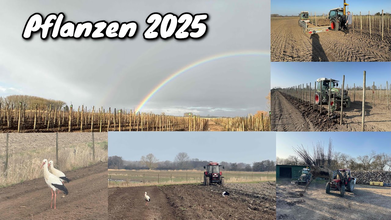Obsthof Raddatz - Bäume pflanzen 2025 | Pfähle drücken | Löcher bohren | Bäume pflanzen | Bewässern