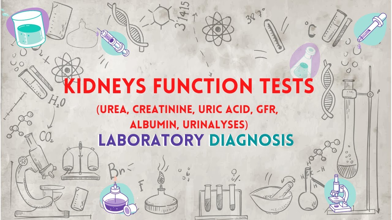 Kidneys Function Tests (BUM, Creatinine, Uric acid, GFR, Albumin) - تحاليل وظائف الكلى