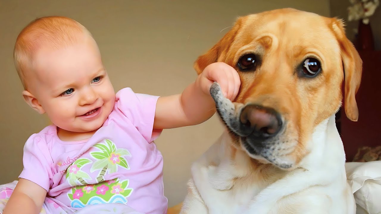 Adorable Dog and Baby Bonding Moments 🥰 | Baby and Dog Videos