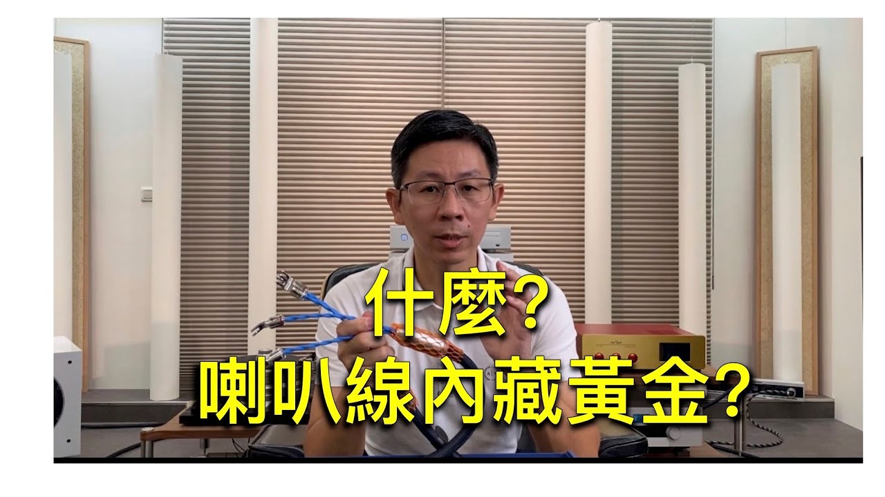 喇叭綫重要？#金銀冶練技術#Siltech#G9ClassicLegend680L 傳奇喇叭線