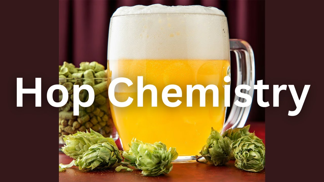 Hop Chemistry | Uses of hops in brewing industry | What are hops? | Chemistry of beer