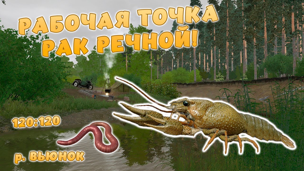 Русская рыбалка 4 - РАБОЧАЯ ТОЧКА! РАК РЕЧНОЙ! ГДЕ ПОЙМАТЬ? р. Вьюнок