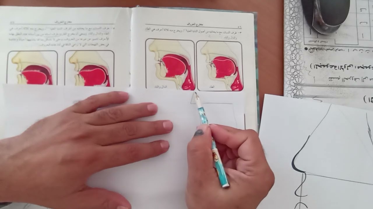 كيف ترسم رسومات مخارج حروف التجويد .
