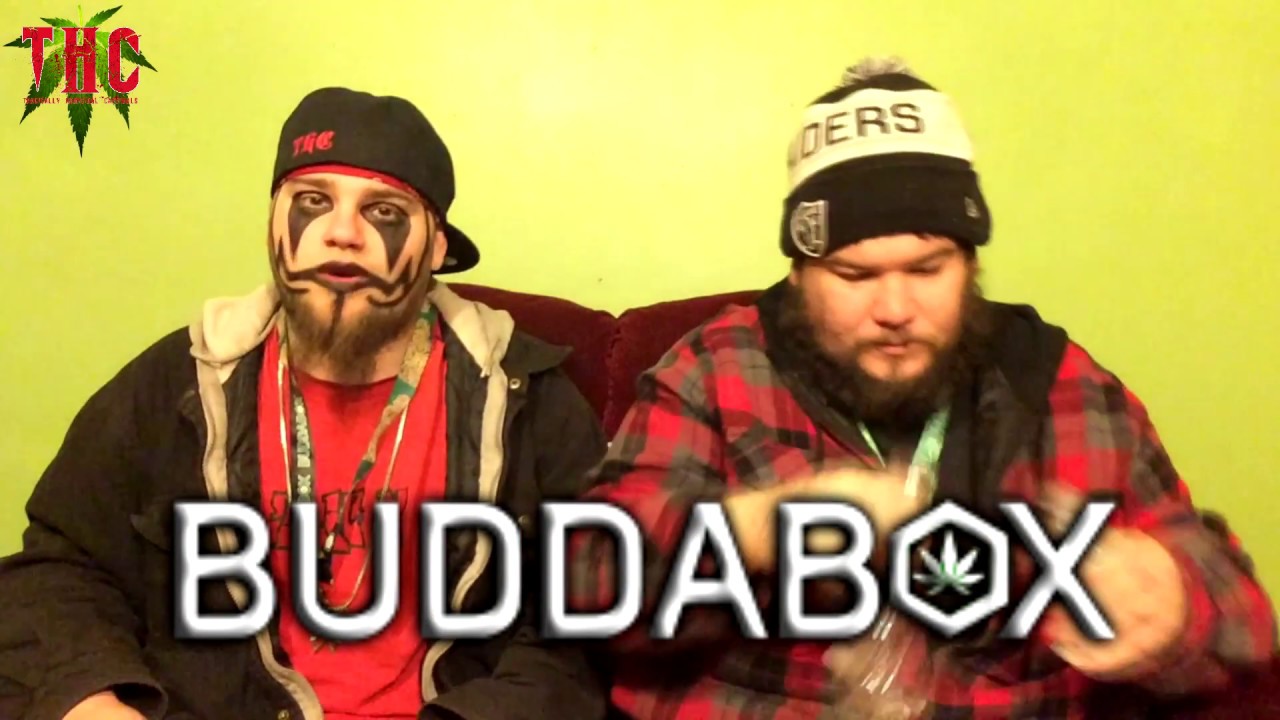 DEC 710 Buddabox