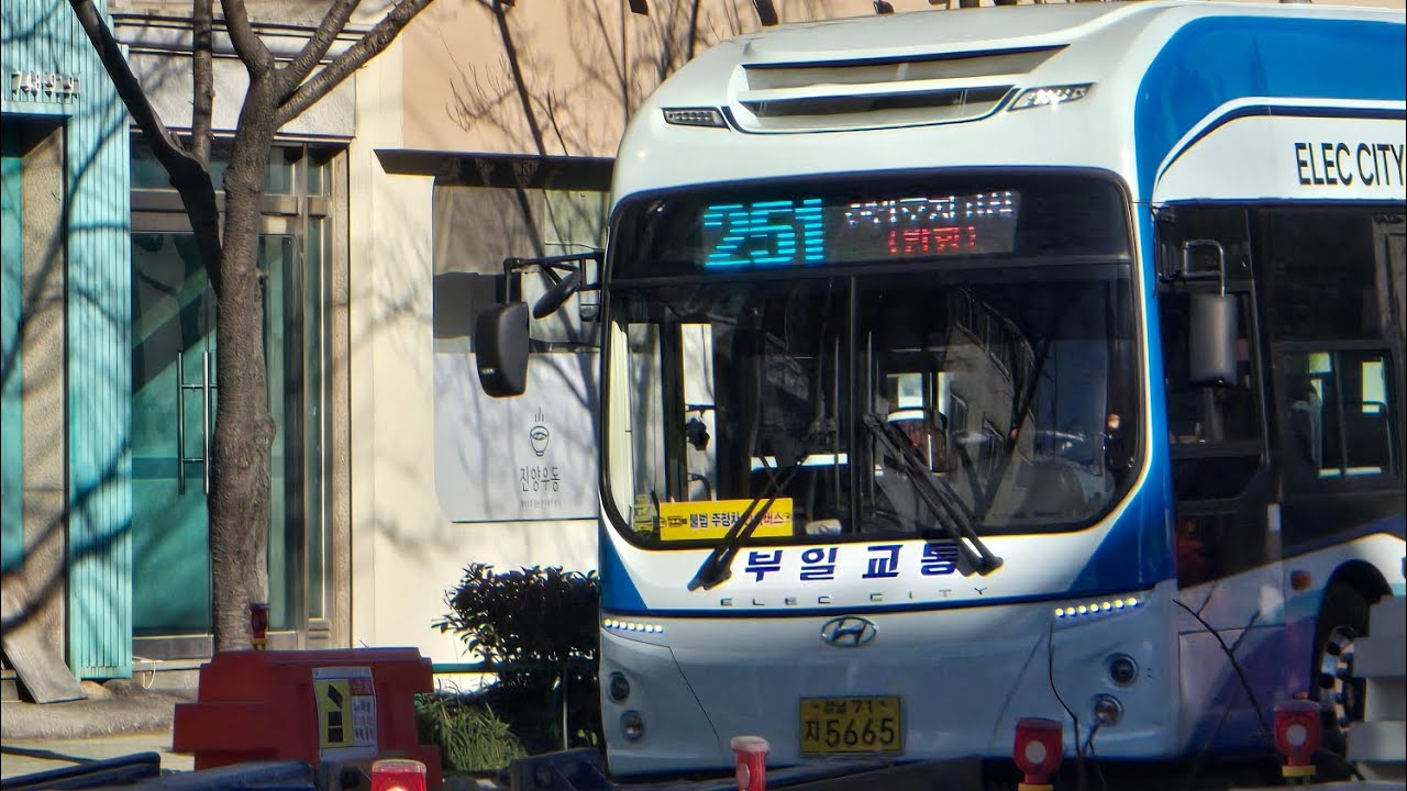 진주251번 판문동행정복지센터~갤러리아백화점