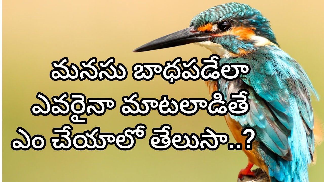మనసు బాధపడేలా ఎవరైన మాట్లాడితే ఏమి చెయ్యాలో తెలుసా..||జీవిత సత్యాలు||మంచి మాటలు||#6