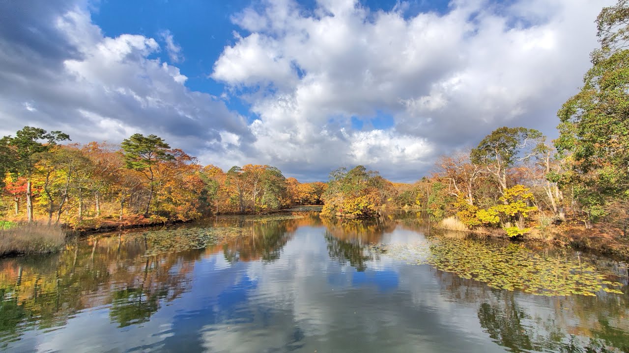 10-30北海道自駕賞楓Day16大沼公園 見晴公園 香雪園