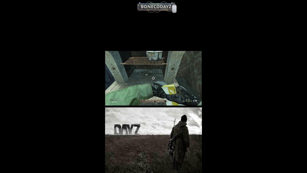 Transmisión en vivo de BonecoDayz