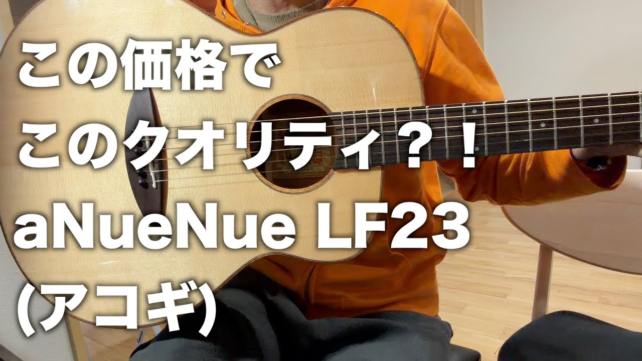 【aNueNue】【LF23】高クオリティなのにこの価格？最高のアコギじゃん・・・