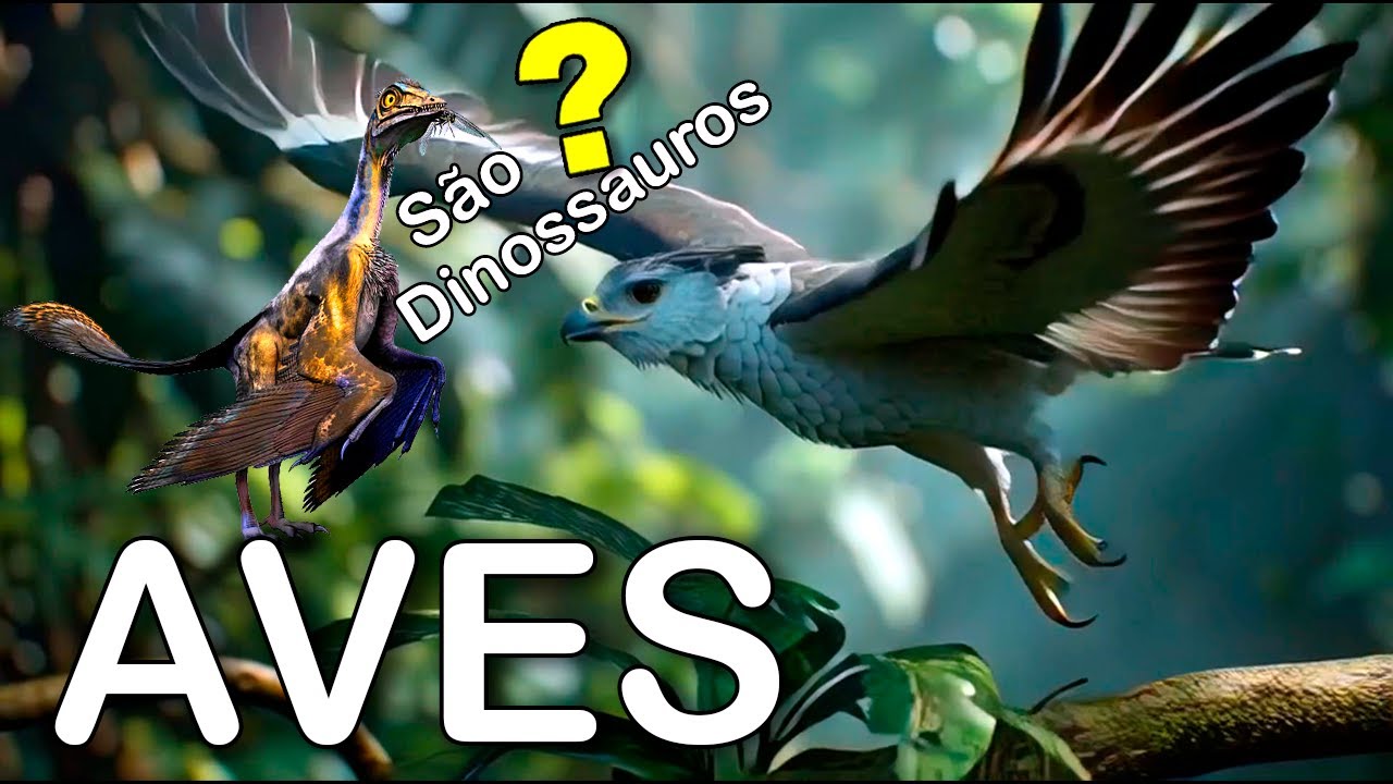 🦅 A Incrível História: Do Dinossauro às Aves!