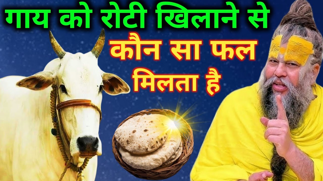 गाय को रोटी खिलाने से कौन सा फल मिलता है ? #premanandji​ gay ko Roti khilane ke fayde