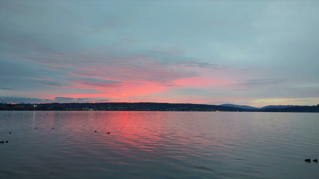 MusicDan | Seattle Sunrise Piano 🌅 Calm Instrumental for Focus & Deep Work | Magnuson Park