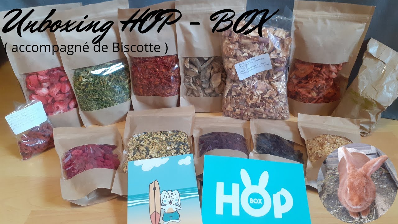 Unboxing HOP - BOX (en compagnie de Biscotte) 🐰🍓🍏🥕
