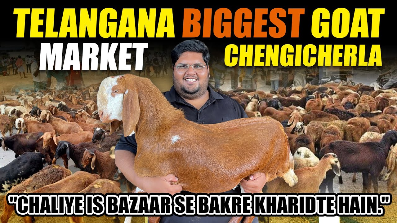 TELANGANA BIGGEST GOAT MARKET / CHALIYE IS BAZAAR SE BAKRE KHARIDTE HAIN