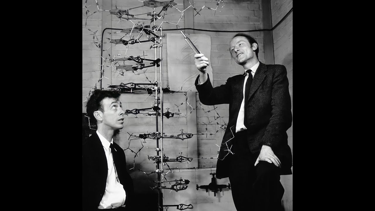 DNA OBA ENDAGABUTONDE YATANDIKA ETYA? KKALIRA OWULIRE