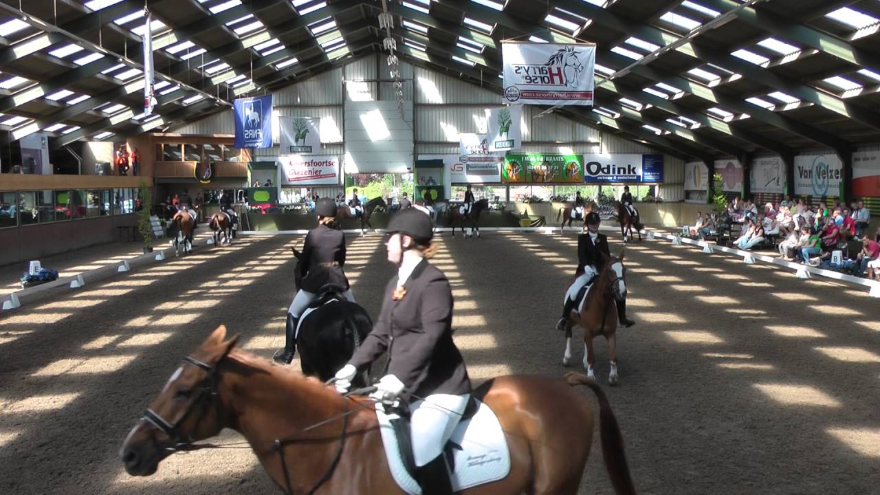 Manege Hillegersberg B team 2016