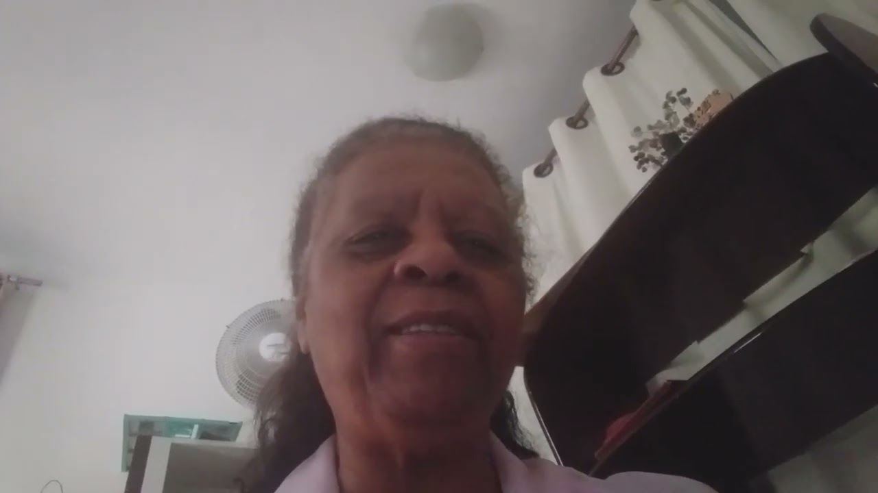 JESUS é a videira verdadeira. JOÃO 15