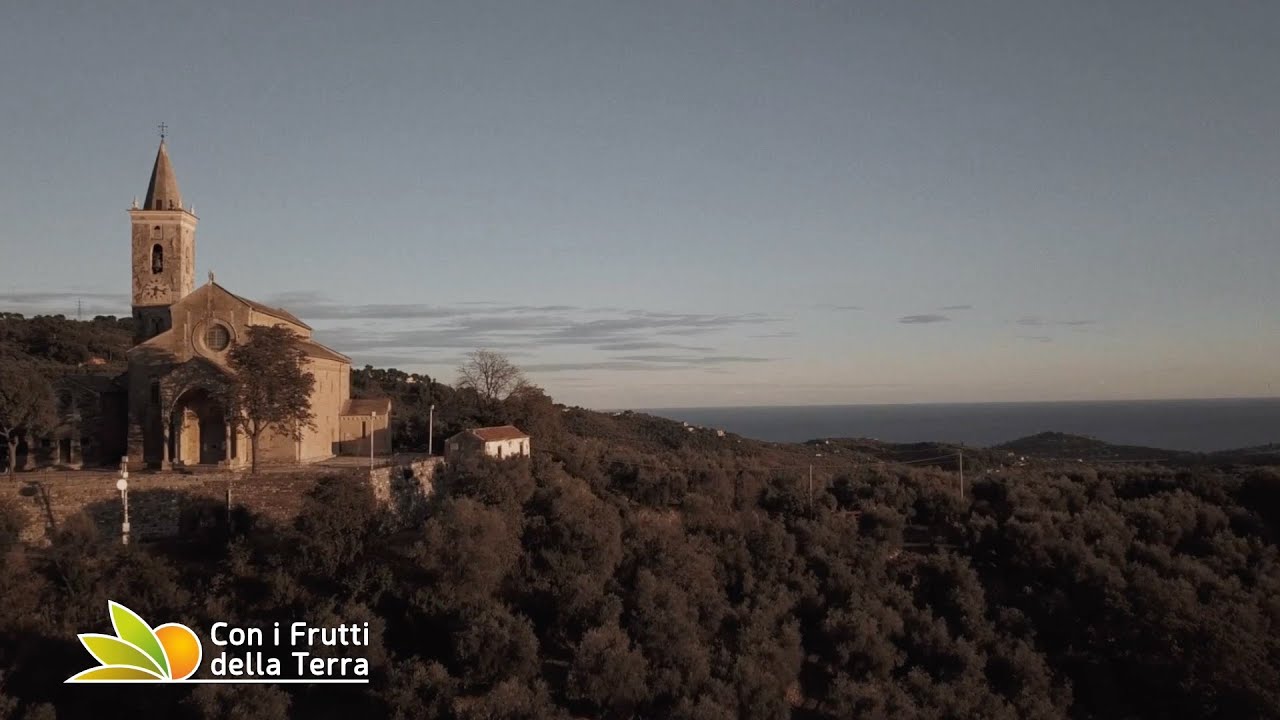 Olio DOP Riviera Ligure: il sapore del territorio