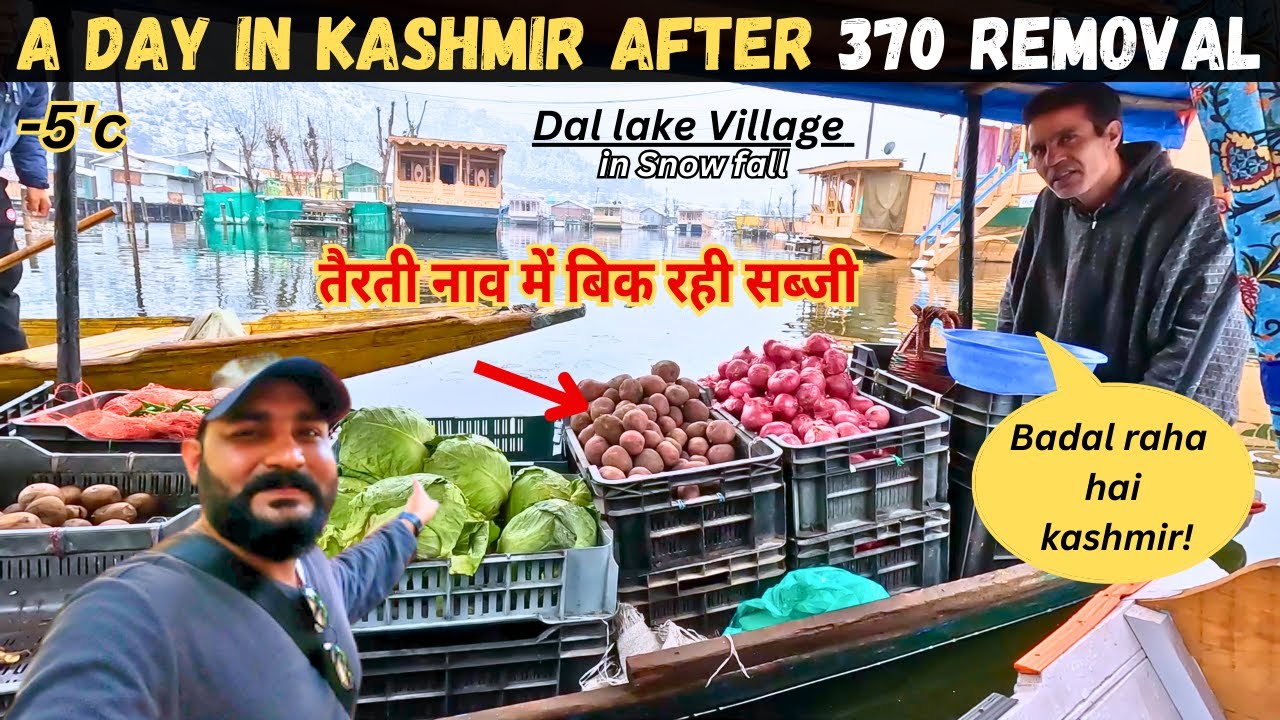 Unreal Shikara Ride in Dal Lake, Kashmir 🇮🇳 — Village Life & Scenic Beauty Left Me Speechless! 😲