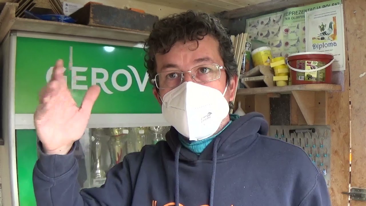 Campion columbofil dl Strava Ionut Brasov Romania prezentare metoda zbor pui 31 martie 2021