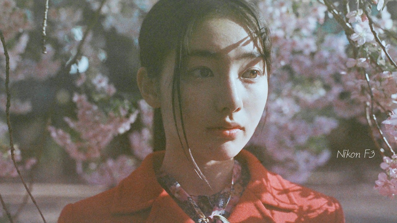 니콘의 황금기 : 니콘 F3 리뷰