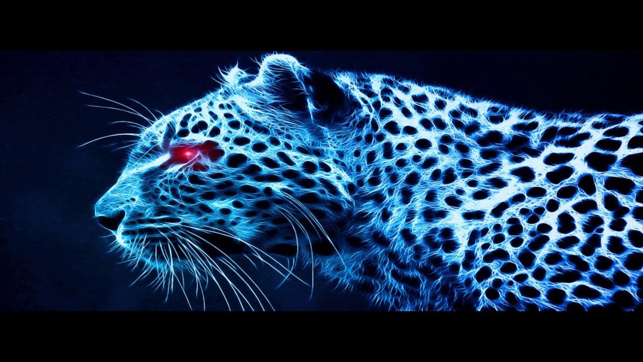 CRIS TAYLOR - Dunya (Bass Boosted) Tiger Hawk