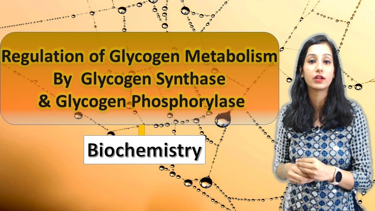 Regulation of Glycogen Metabolism by Glycogen Synthase & Glycogen Phosphorylase I Biochemistry
