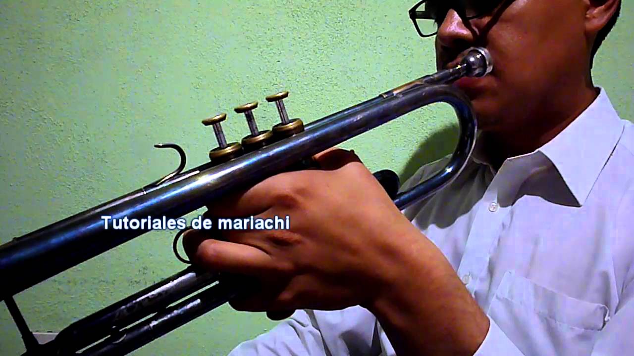 Tutorial calentamiento