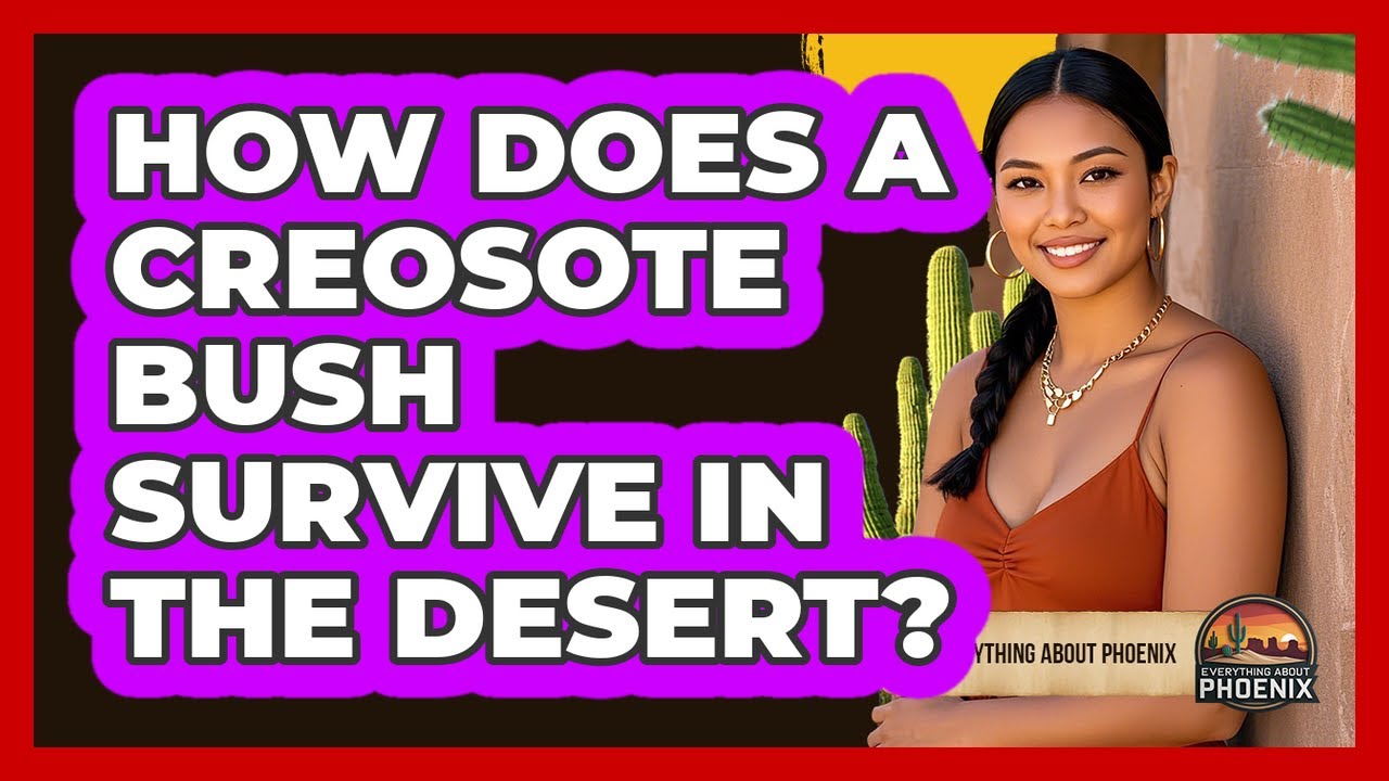 How Does a Creosote Bush Survive in the Desert?