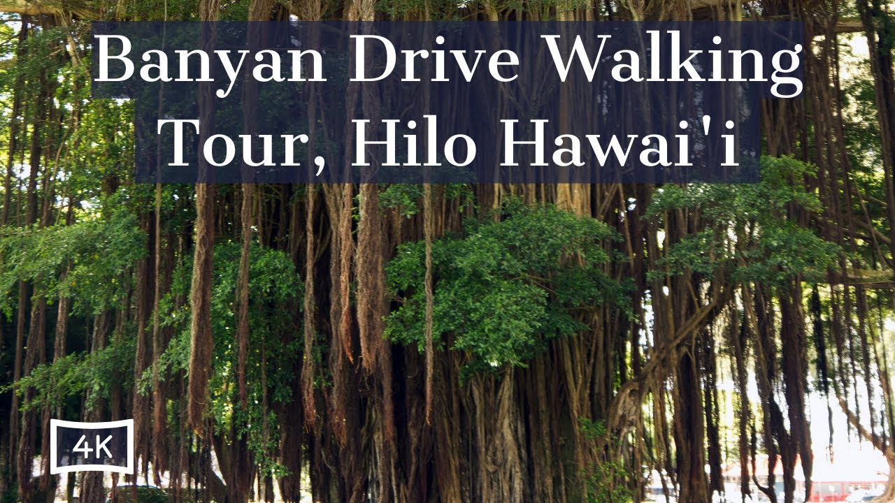 Banyan Drive & Lili'uokalani Gardens | Walking Tour | Hilo Hawai'i