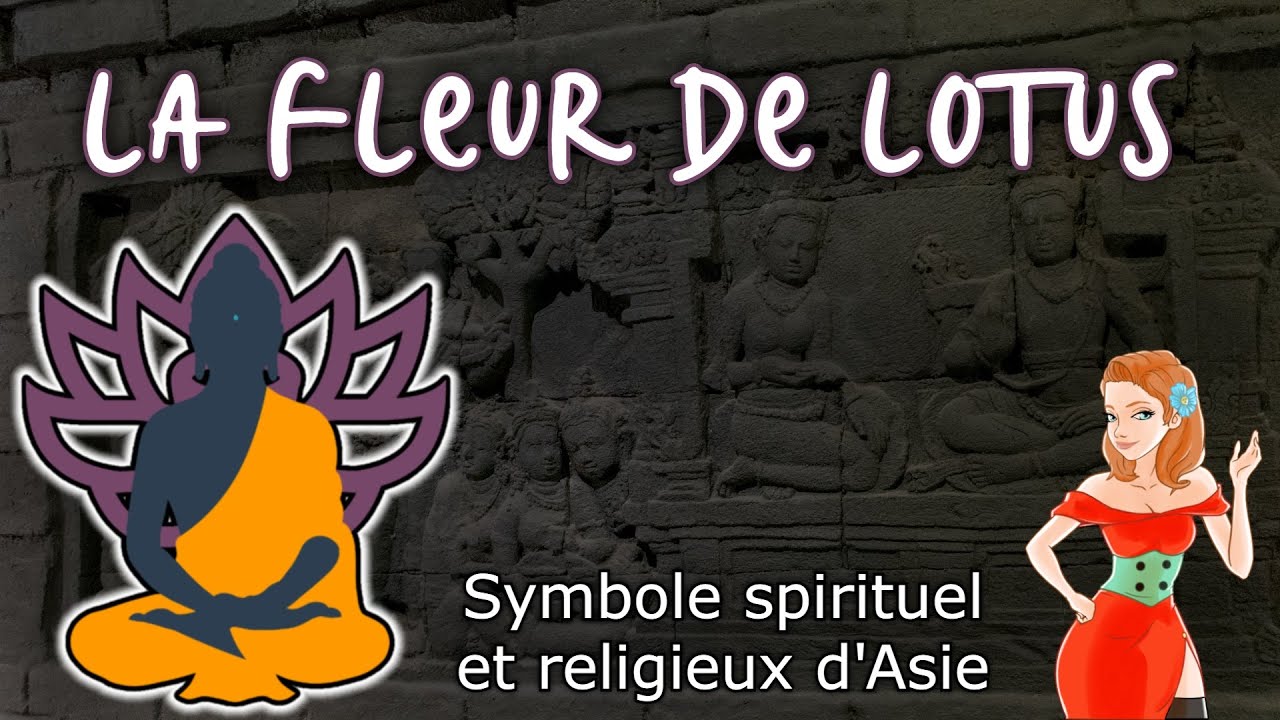 La FLEUR DE LOTUS et ses grands leçons (Symbole Asiatique)