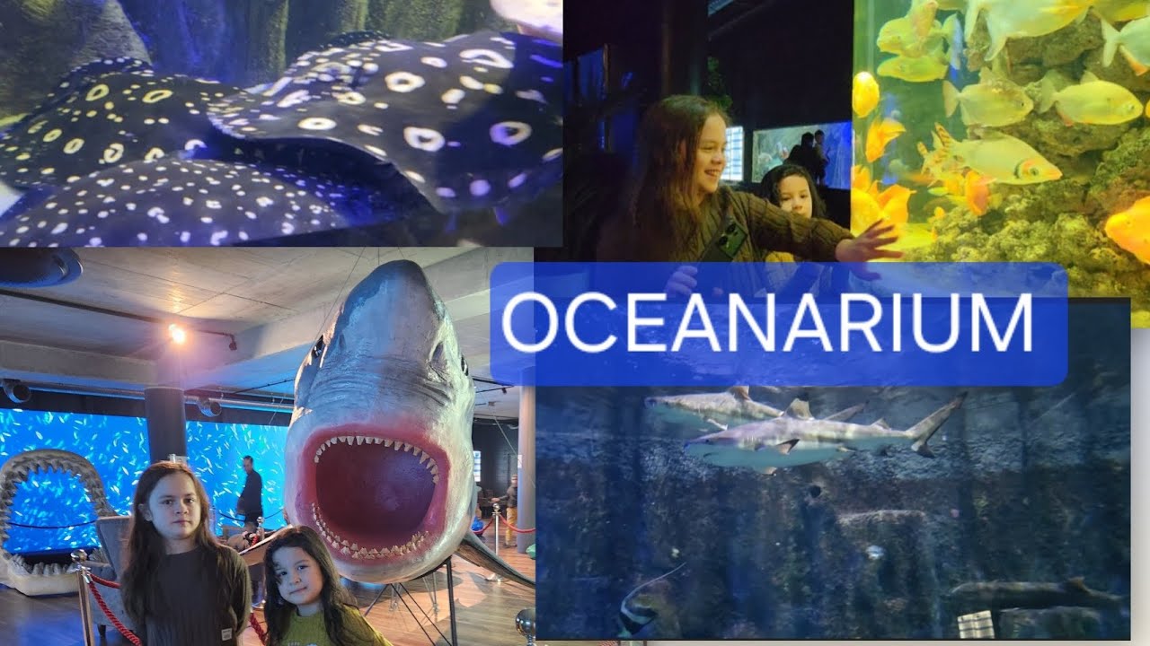 PART 2 // Exploring the OCEANARIUM  in Międzyzdroje// 2026 vacation // NATALIA