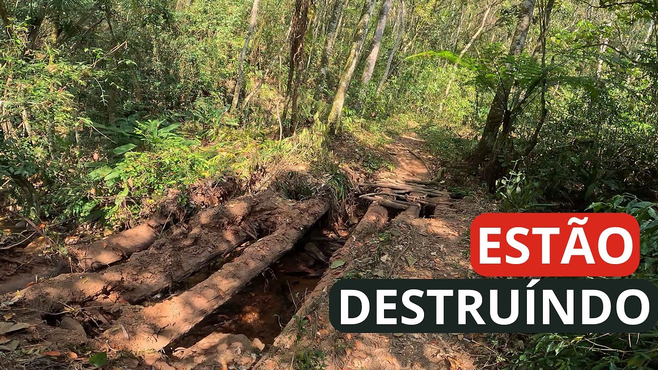 RAPOSA, VEADO E UTVs NAS TRILHAS DO JAPI | CANAL BIKE CHEF