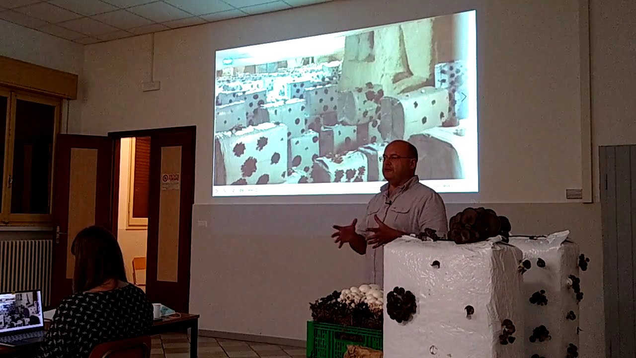 Corso di Micologia - I Funghi Coltivati - Storia e tecnica - 21/09/2020