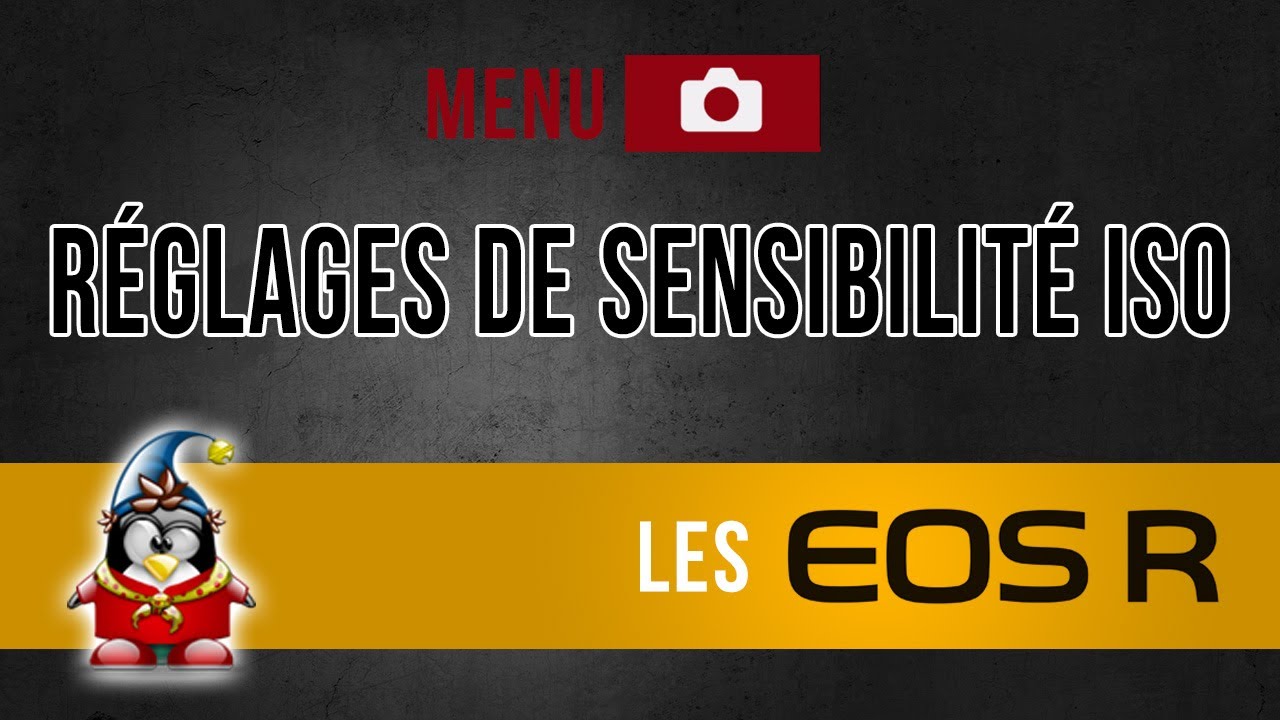 Les menus des Canon R - Réglages de sensibilité ISO