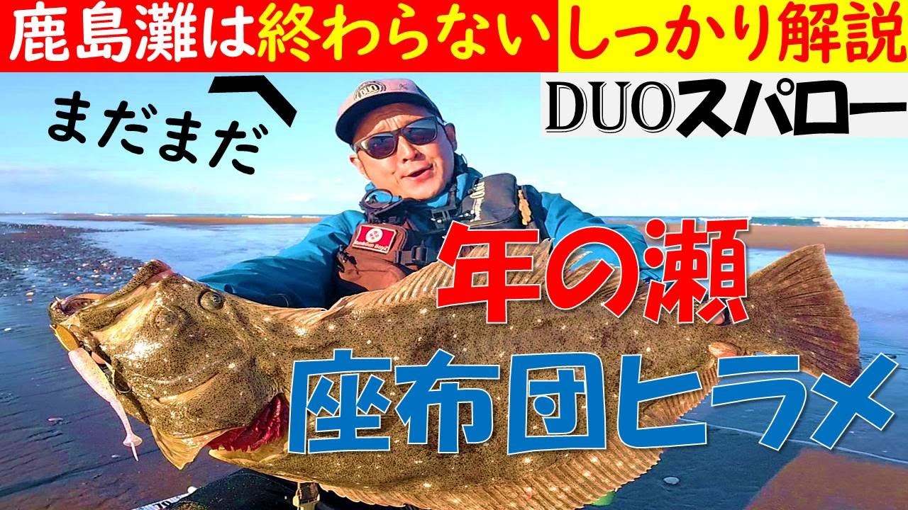 【しっかり解説】鹿島灘はまだまだ終わらない【座布団ヒラメ】