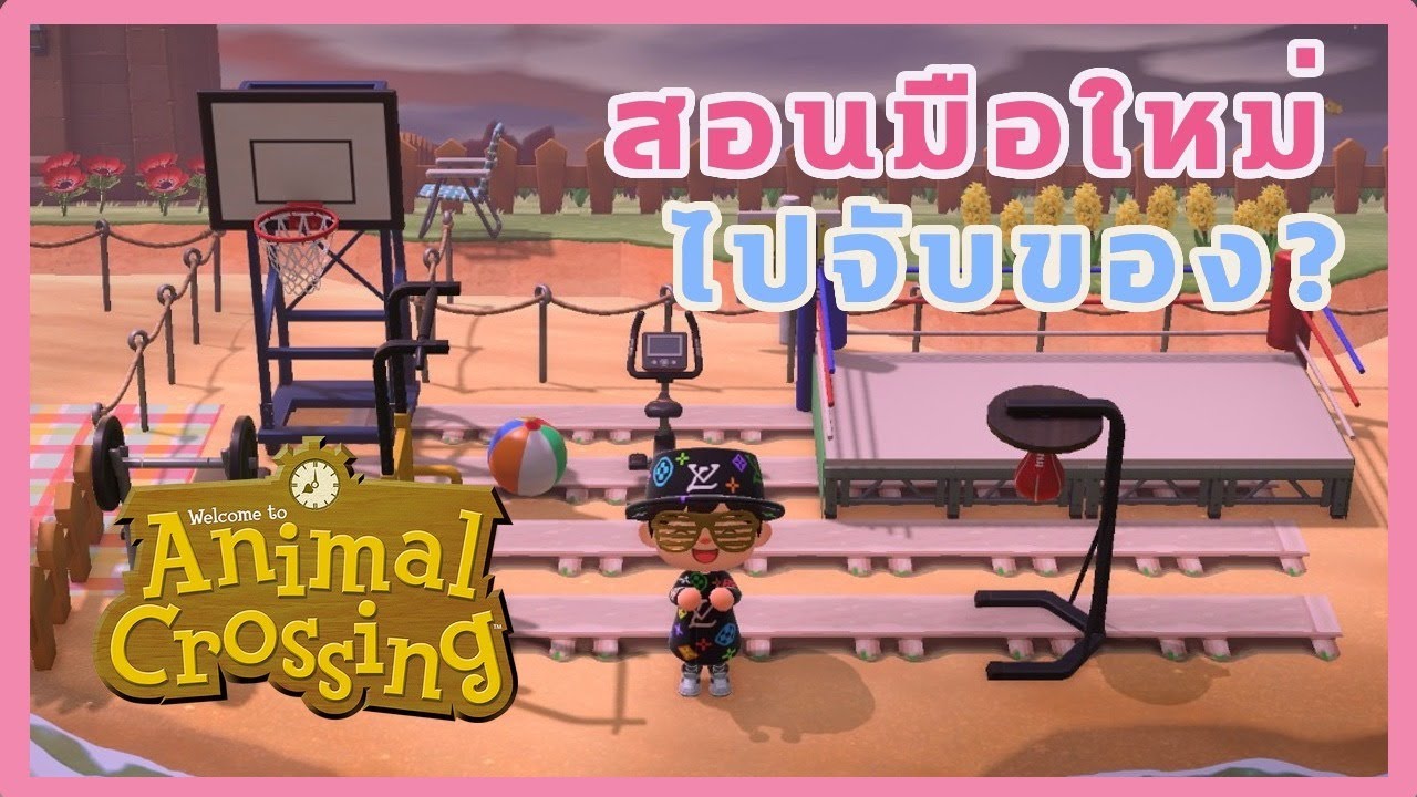 [LIVE] สอนมือใหม่ ไปจับของกัน จับยังไง? จับแล้วได้อะไร?  [Animal Crossing New Horizons]