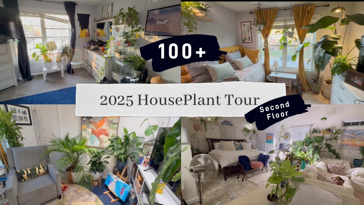 2025 Upstairs Houseplant Tour! (Second Floor Pt. 2)