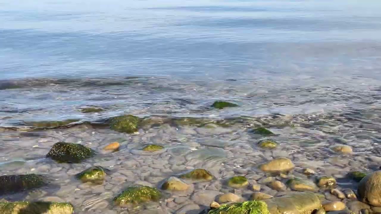 Winter Beach   4K