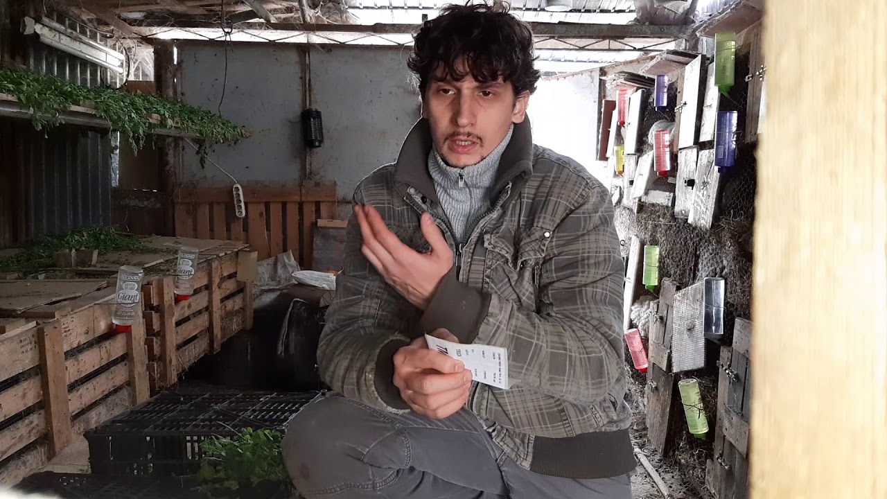 puțină explicație la câteva întrebări și exemplificare. Mă scuzați de exprimările greșite.
