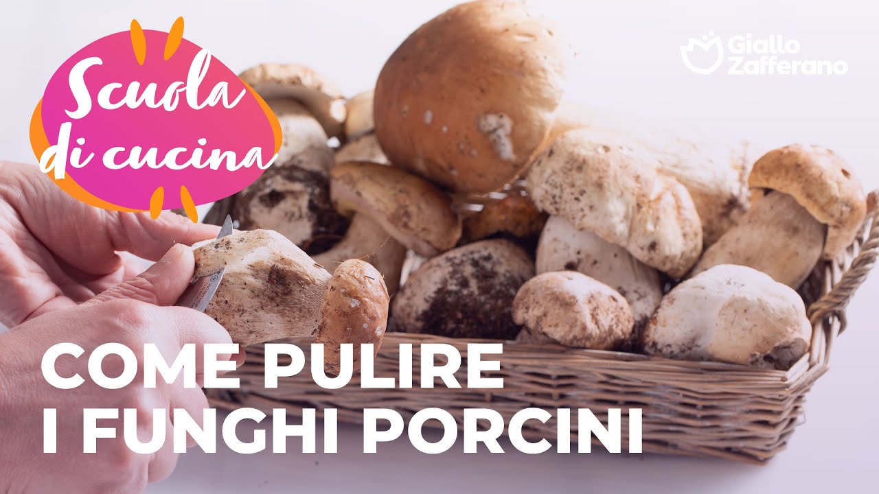 COME PULIRE I FUNGHI PORCINI: a SCUOLA di CUCINA con GZ🤓🤤