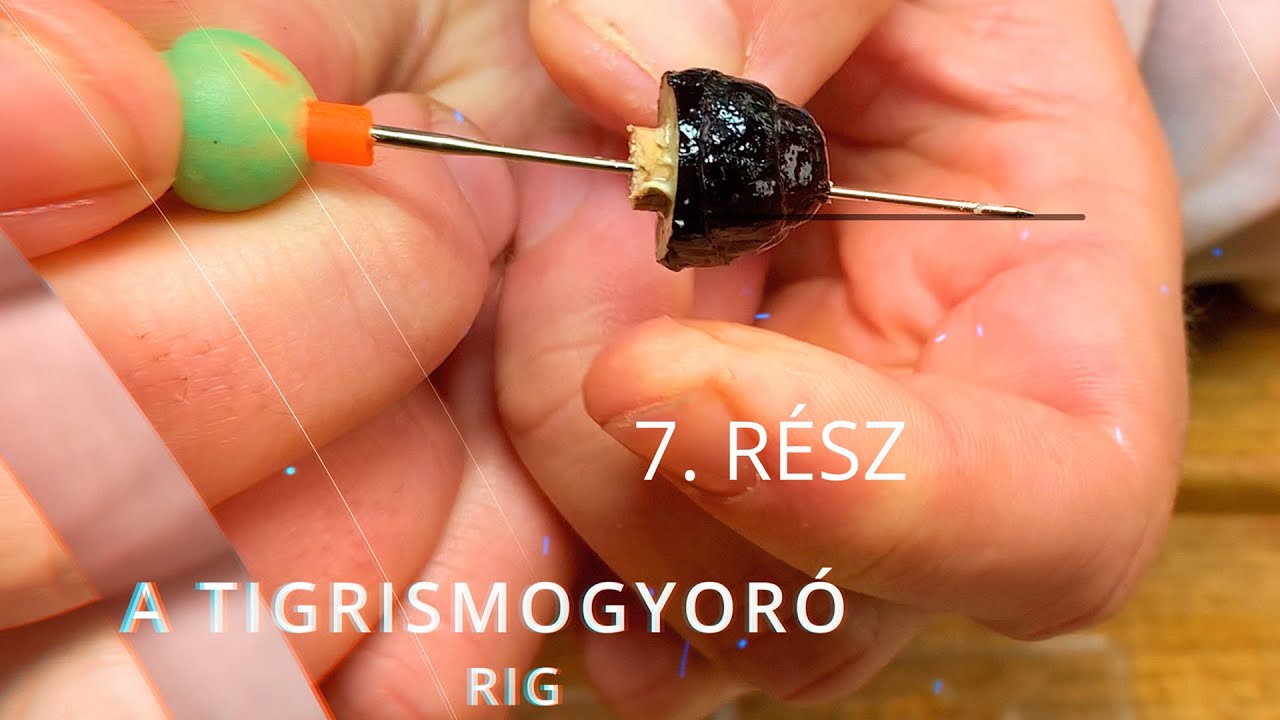 A Haldorádó Carp Team csalizási tippjei – 7. rész A tigrismogyoró rig